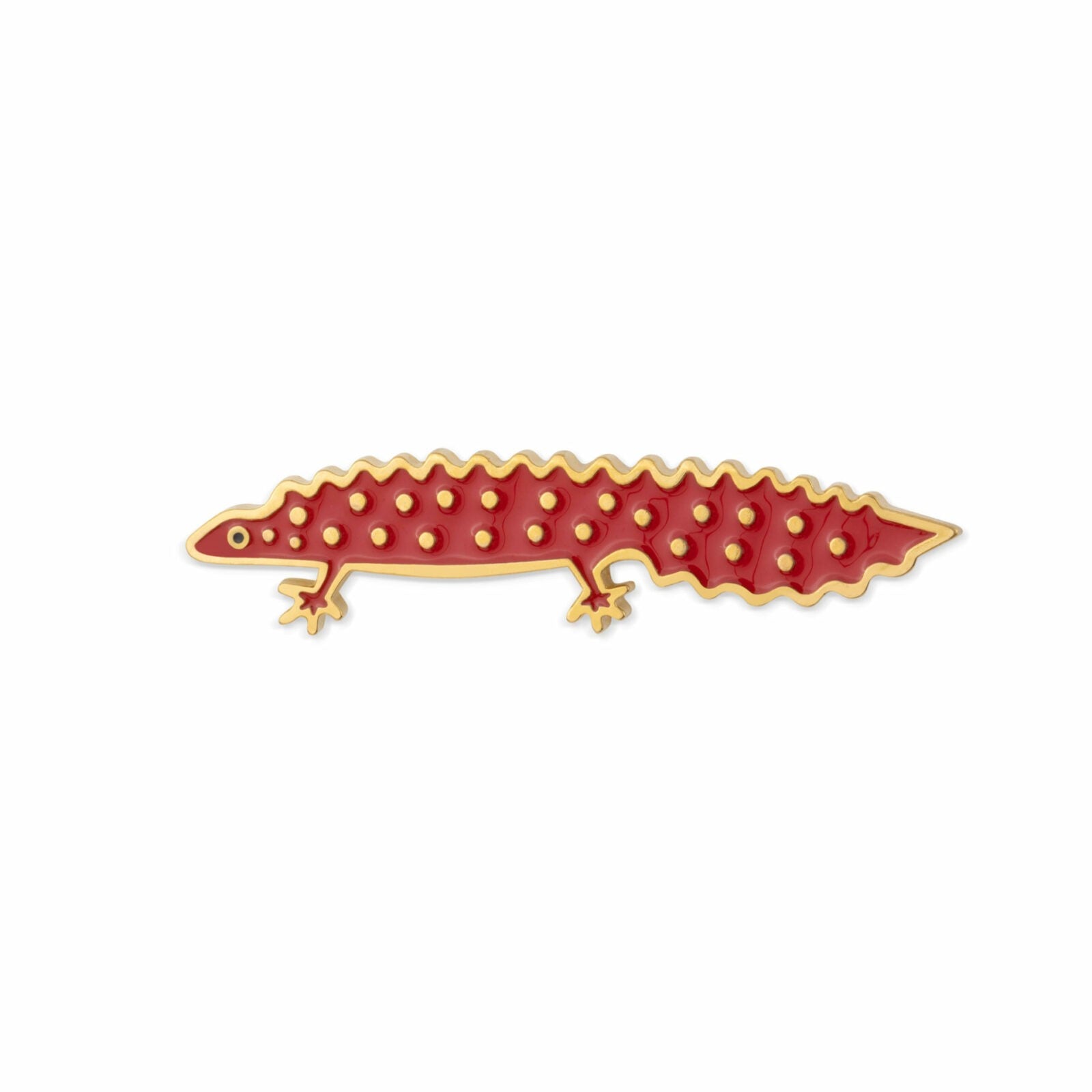 Pin Traszka zwyczajna czerwona