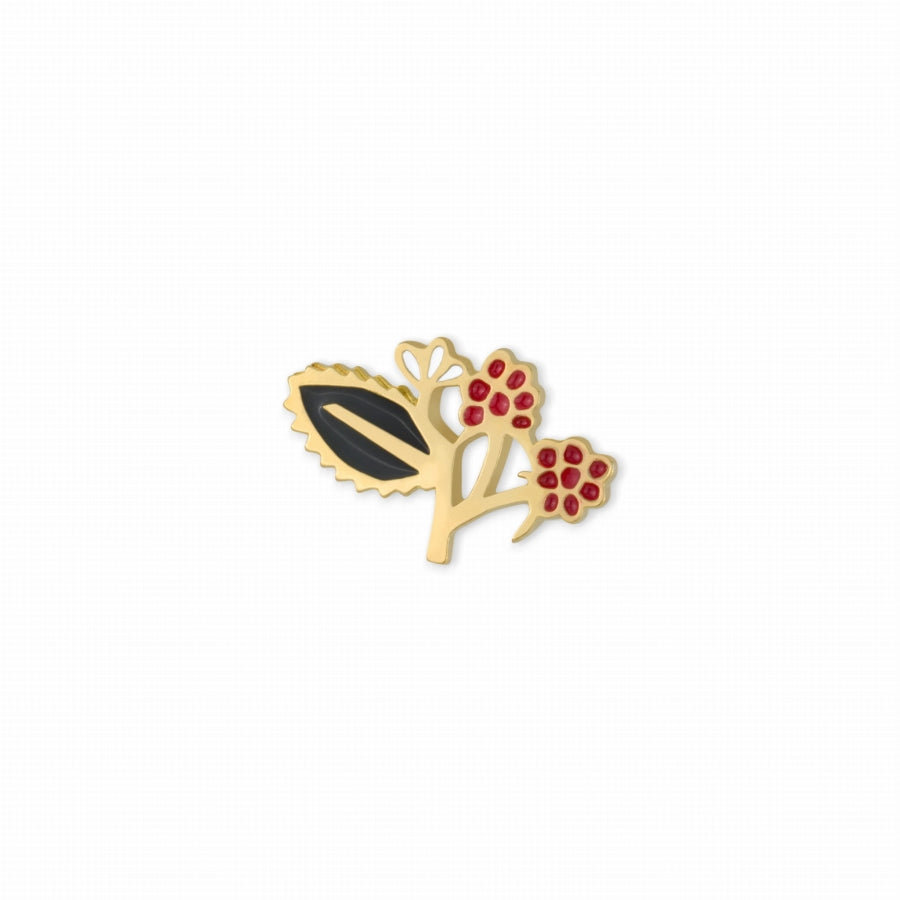 pin marcelina jarnuszkiewicz