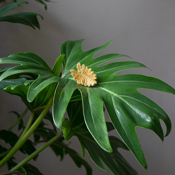 Broszki Haftowane Liście – Botanopia na roślinie