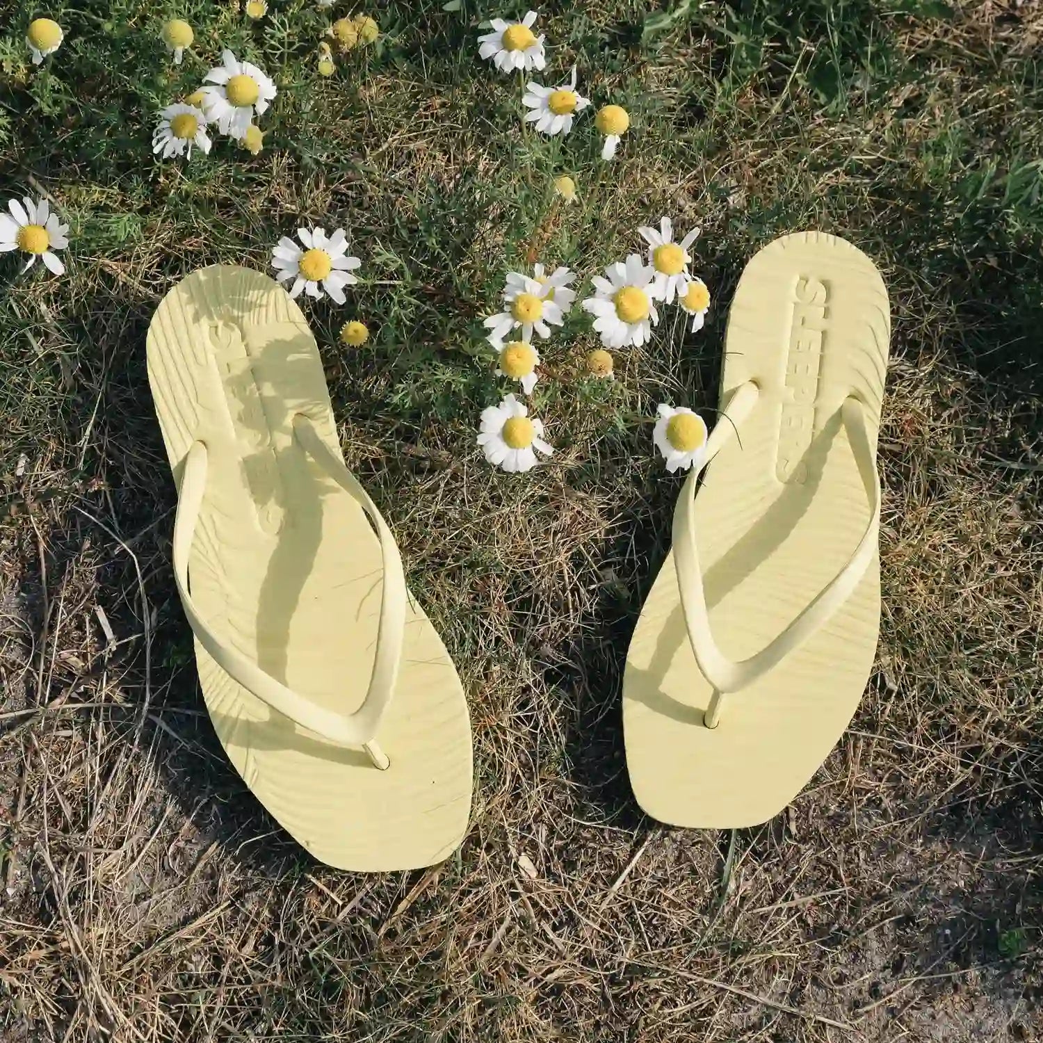 Japonki Tapered Mellow Yellow marki Sleepers SLOU