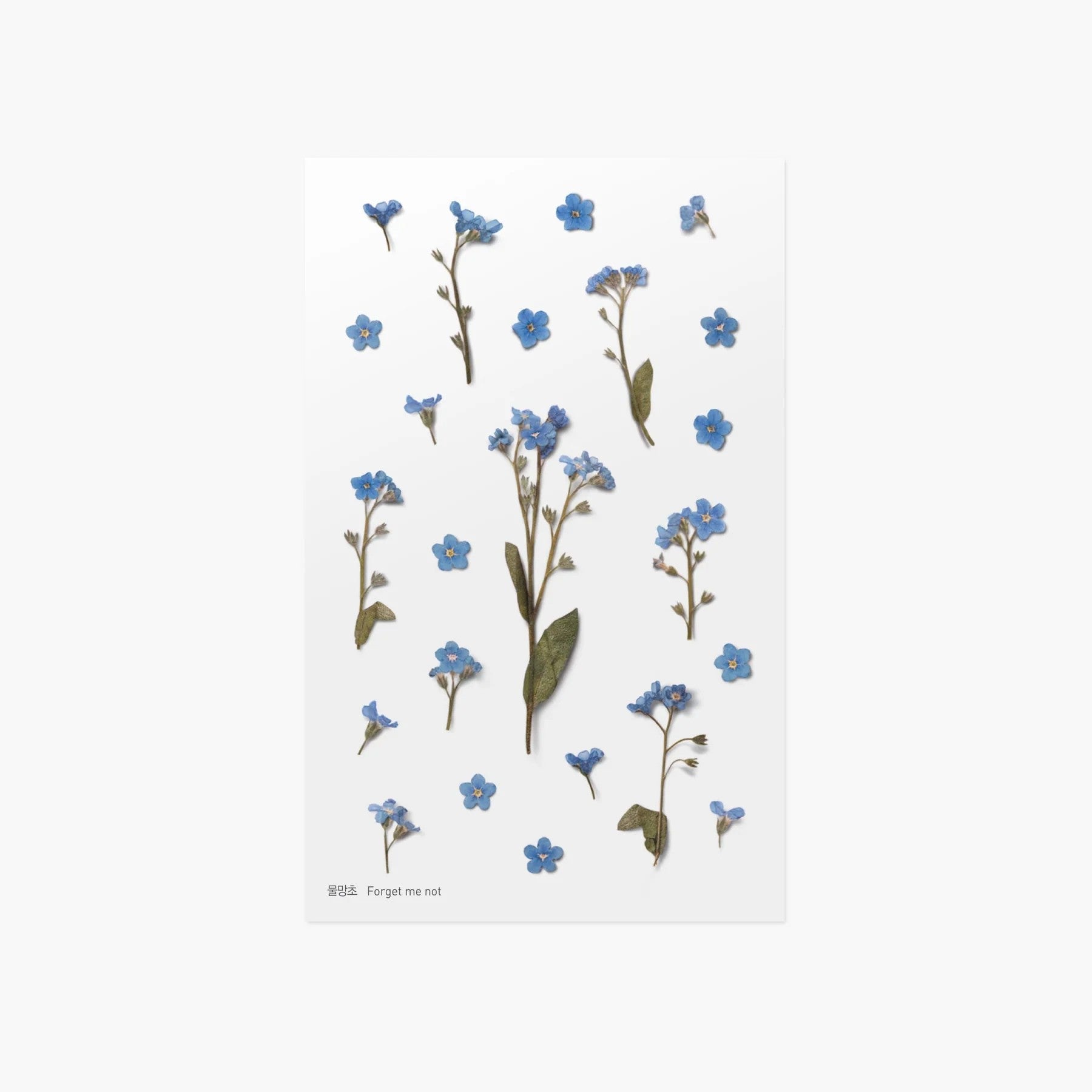 slou-appree-naklejki-niezapominajka