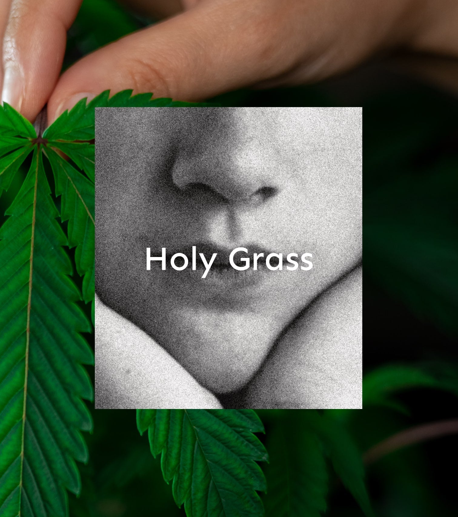 Świeca Holy Grass