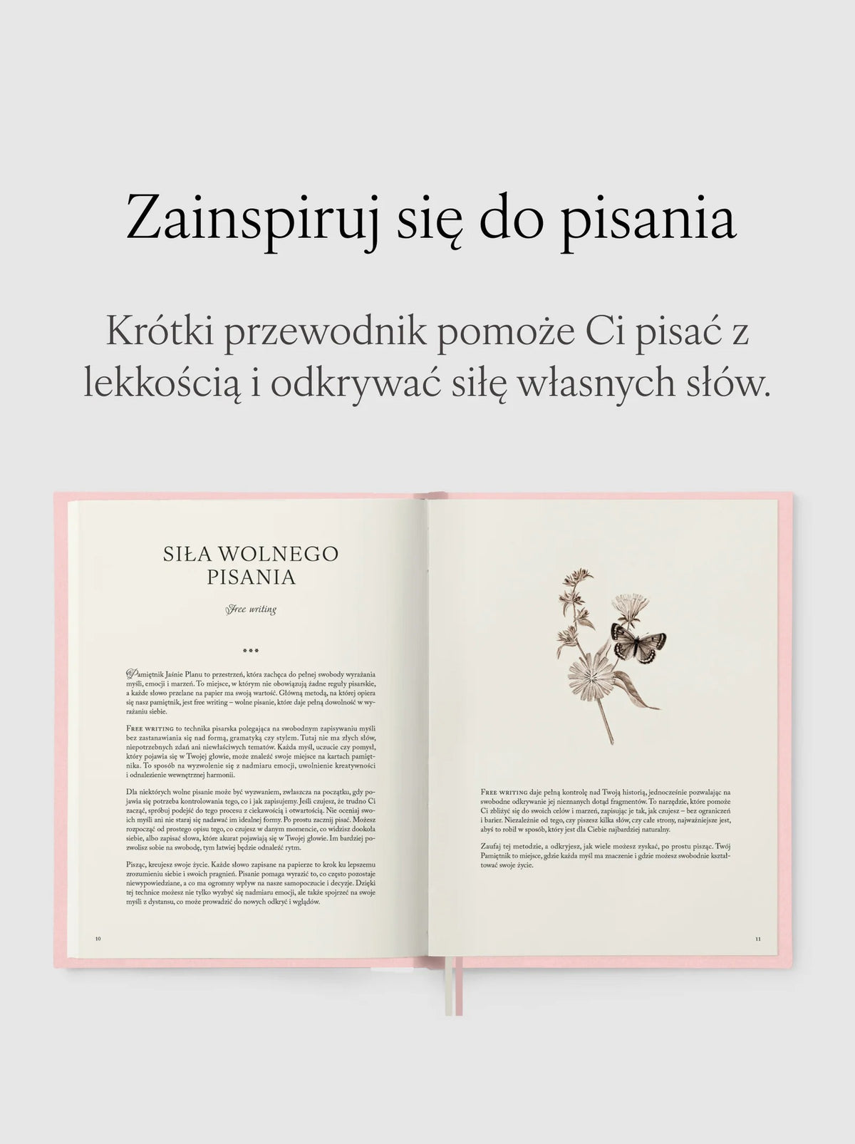 Pamiętnik beżowy