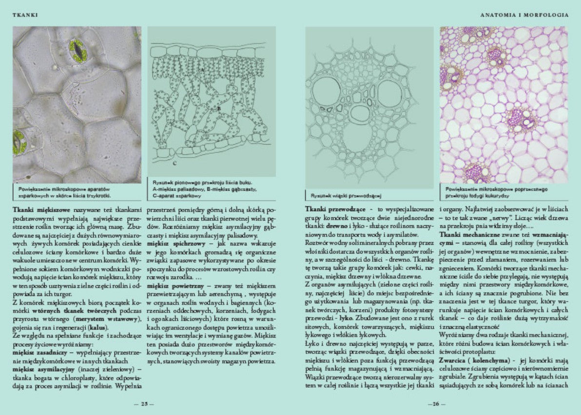 Elementarz kwiatowy