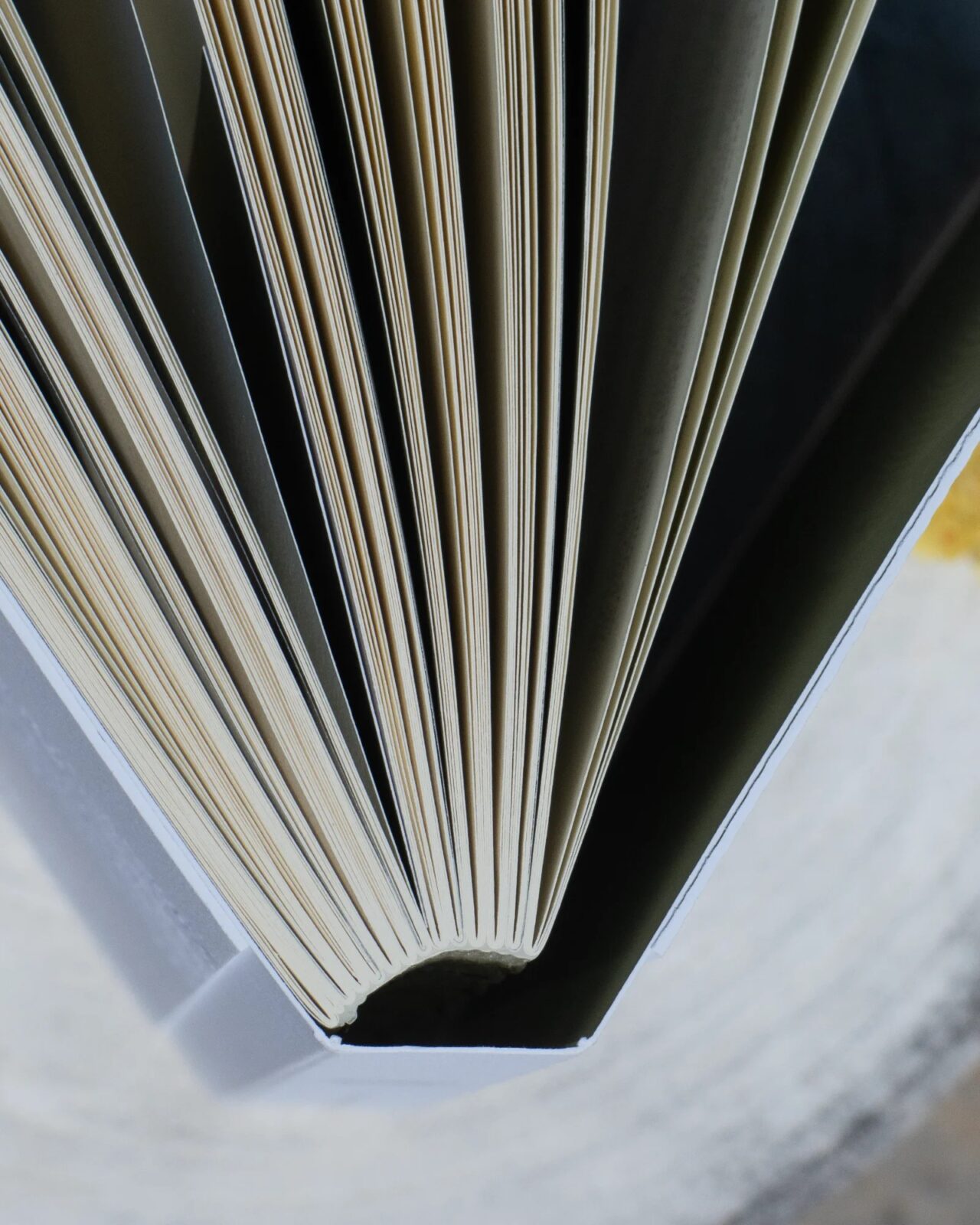Progresownik Journal wersja angielska