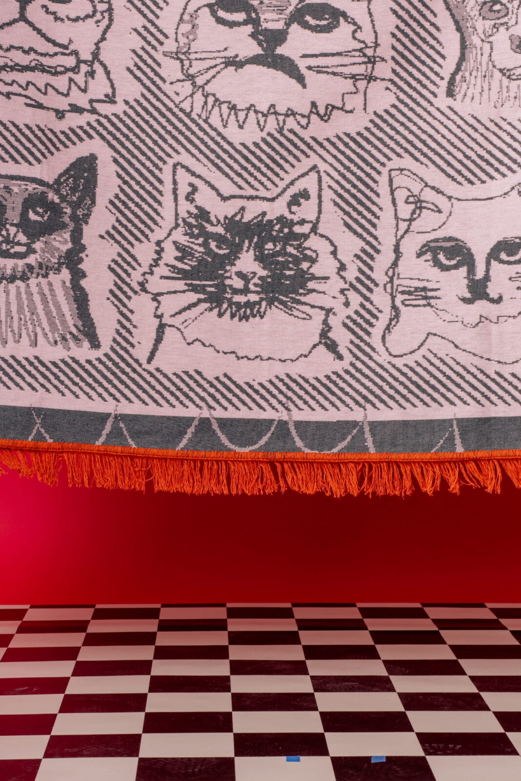 Pled Catmanowie