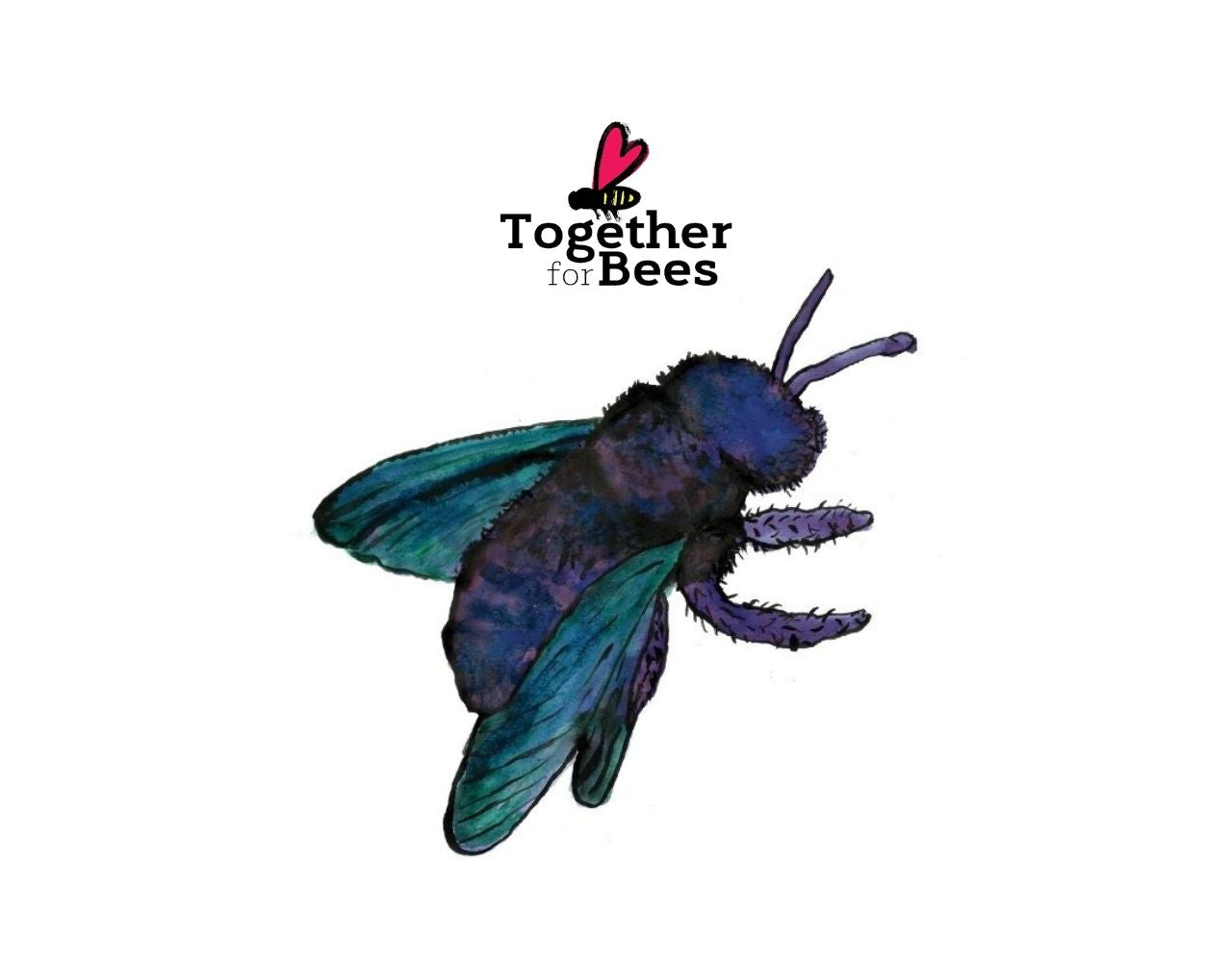Pin Pszczoła — Martyna Czech Together for Bees