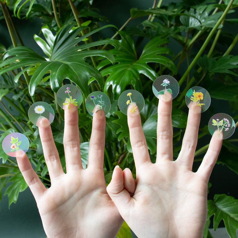 Naklejka tęcza cztery sztuki palce kwiaty Stay wild fingers opakowanie Rainbow maker Rainbow stickers
