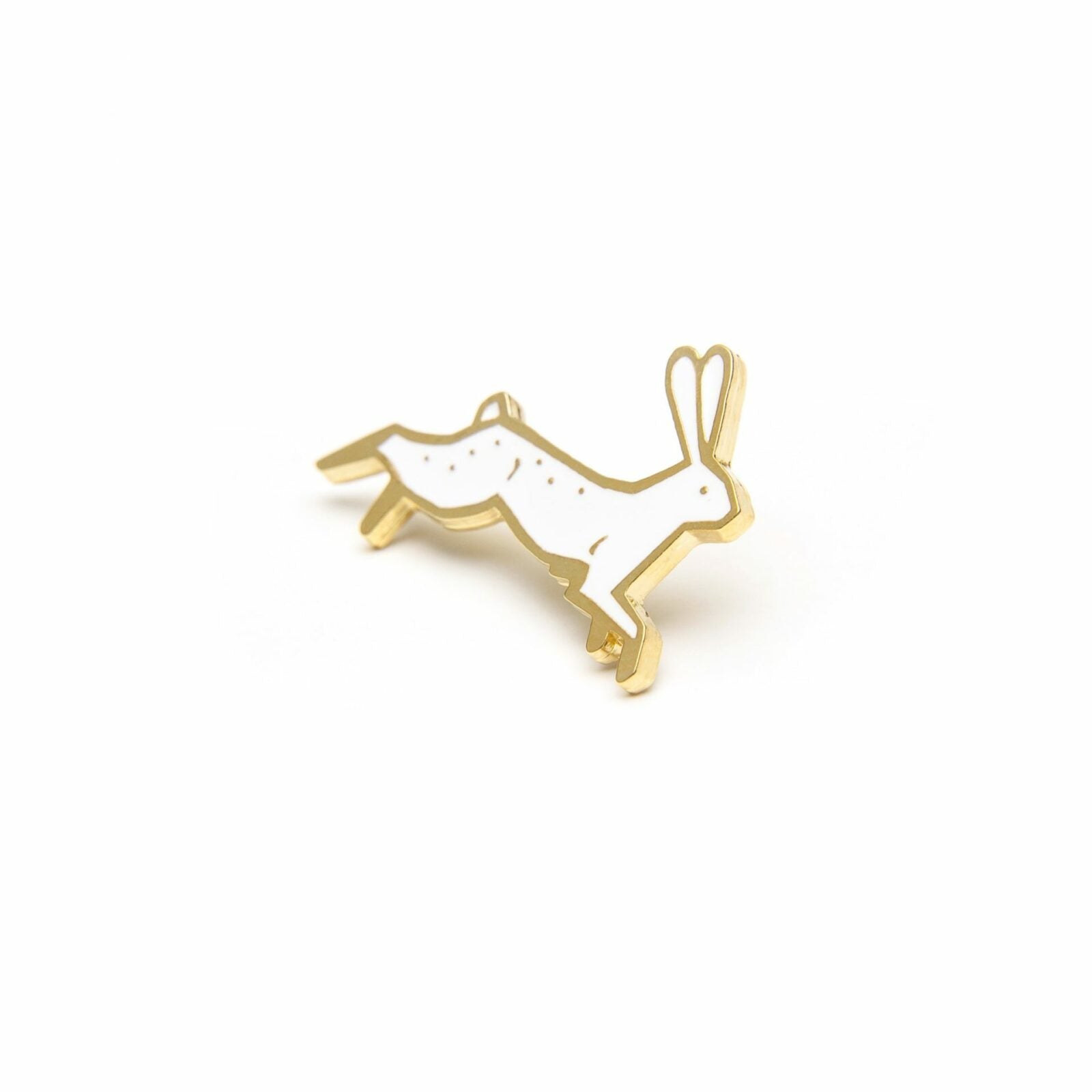 Pin Zając bielak biały