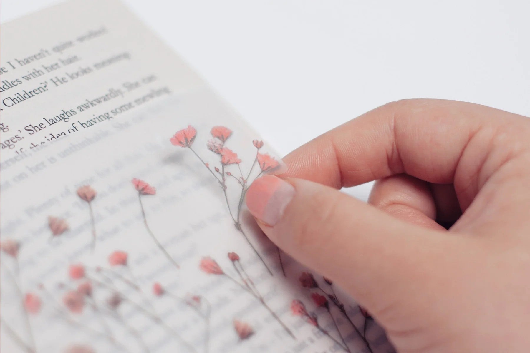 Naklejki Kwiaty Łyszczec