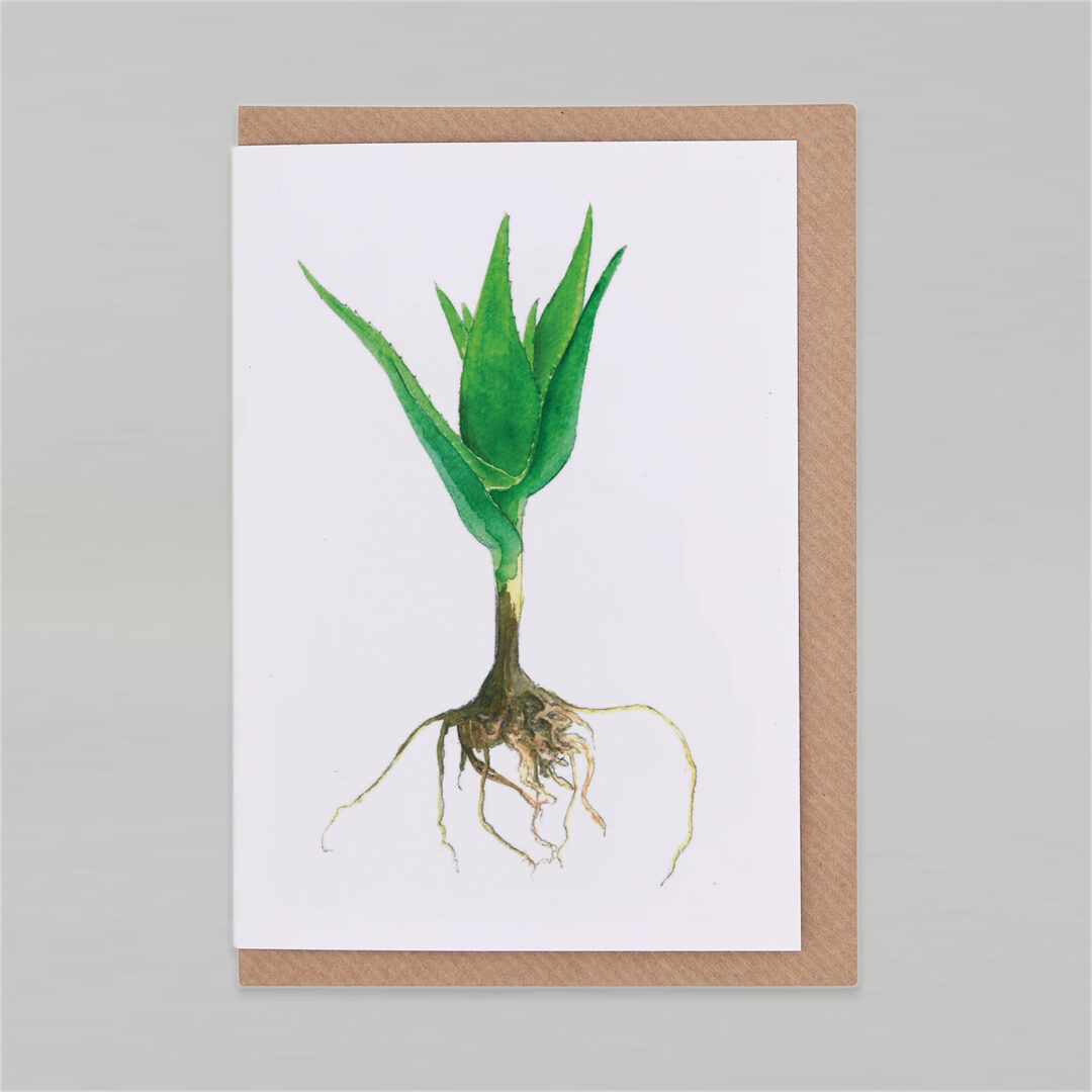 slou-botanopia-kartka-aloes-mniejszy