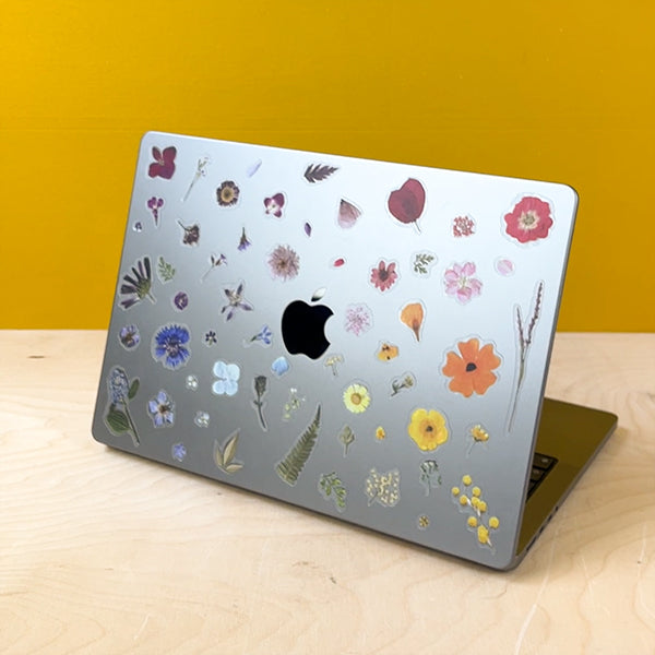 Naklejki Suszone Kwiaty Tęcza