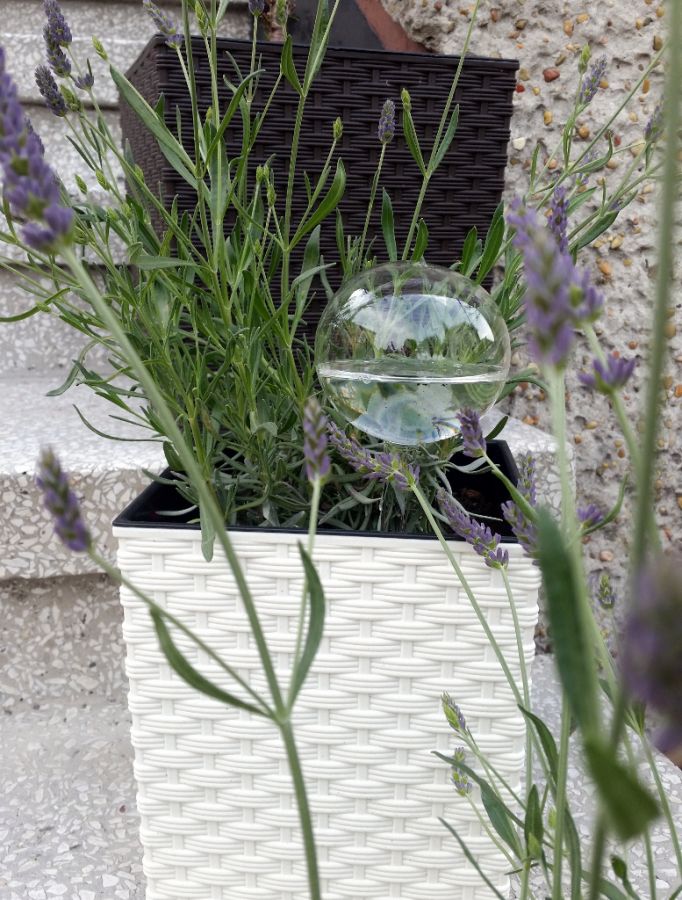 slou-irys-kula-nawadniajaca-do-roslin