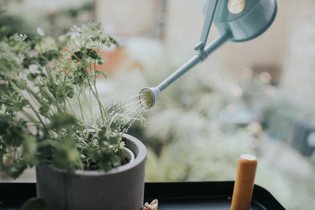 Błękitna plastikowa konewka 0,7 l