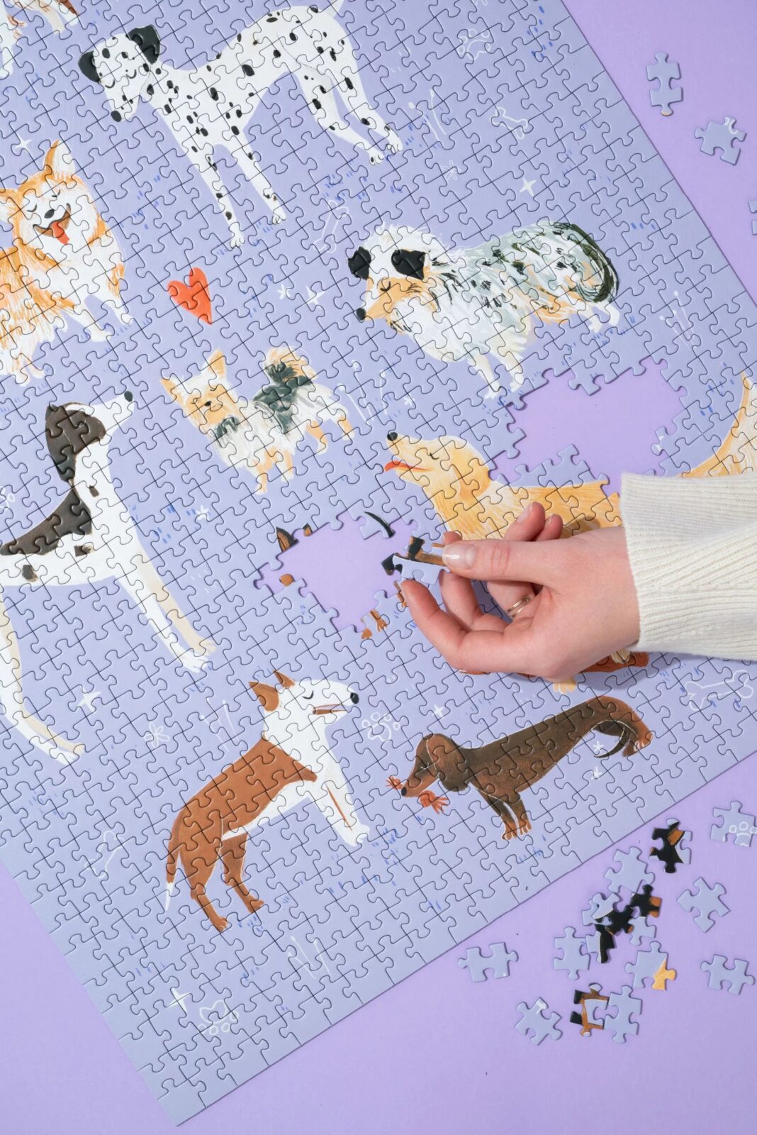 Puzzle Psinki 1000 elementów