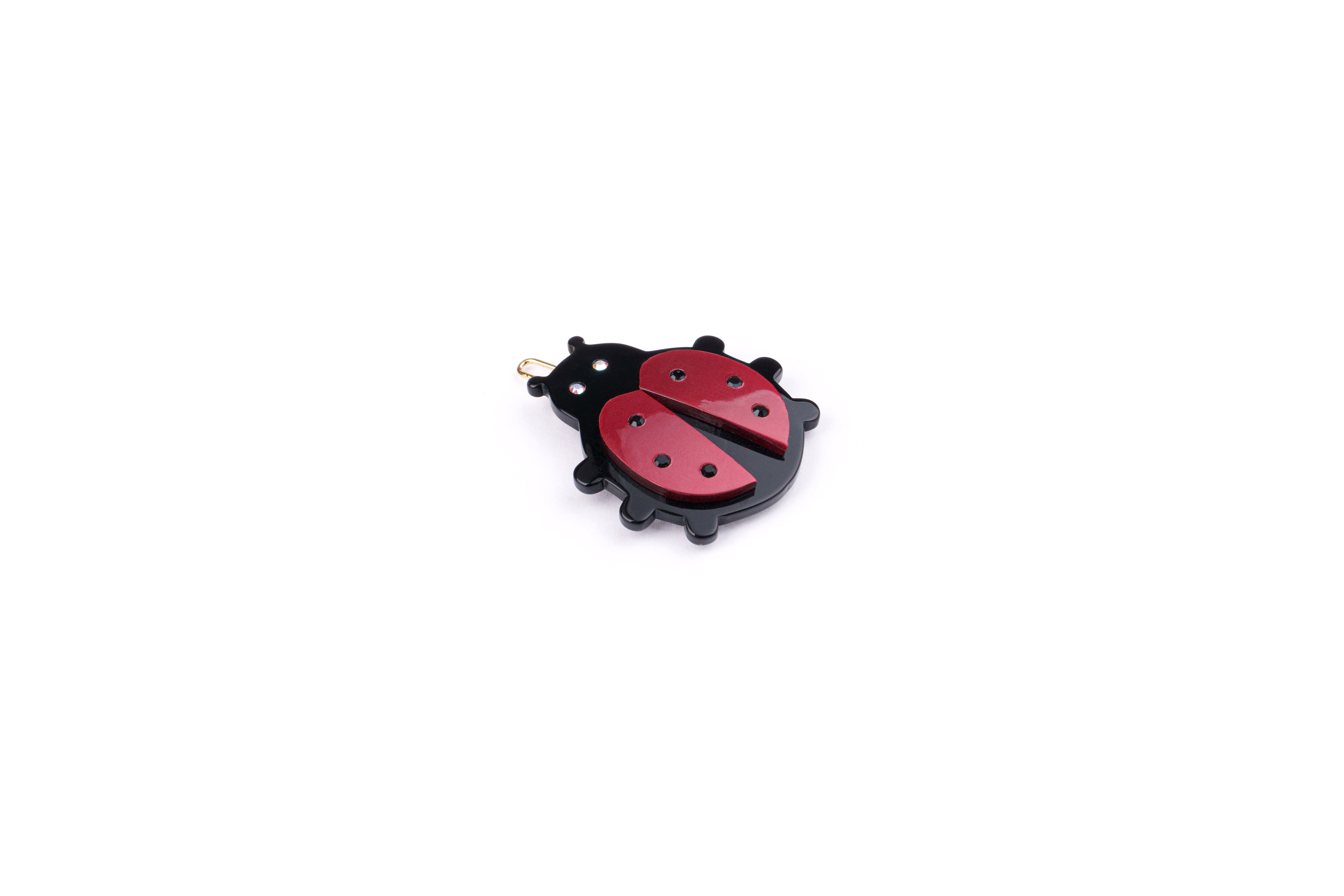 slou-spinka-ladybug-turtle-story