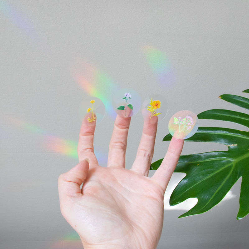 Naklejka tęcza cztery sztuki palce kwiaty Stay wild fingers opakowanie Rainbow maker Rainbow stickers