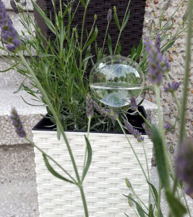 slou-irys-kula-nawadniajaca-do-roslin