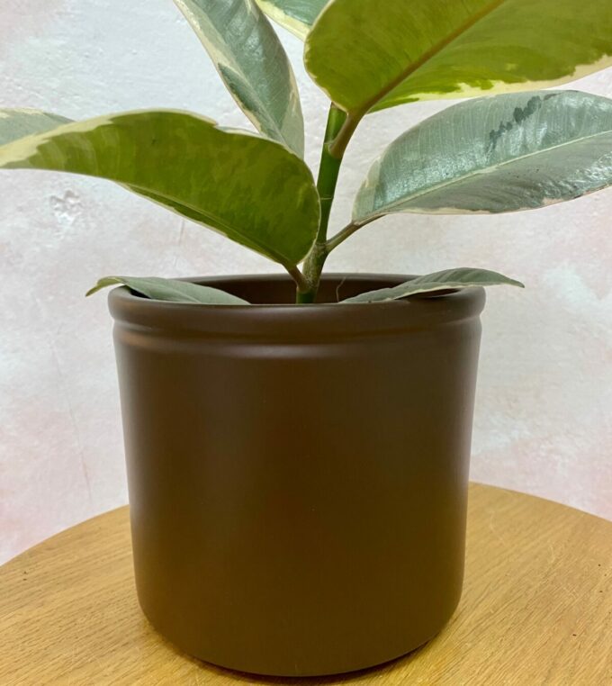 Osłonka Lucca Choco Mat