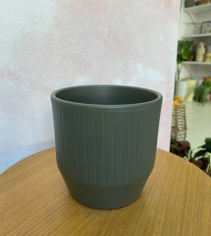 Osłonka Pisa Khaki Mat