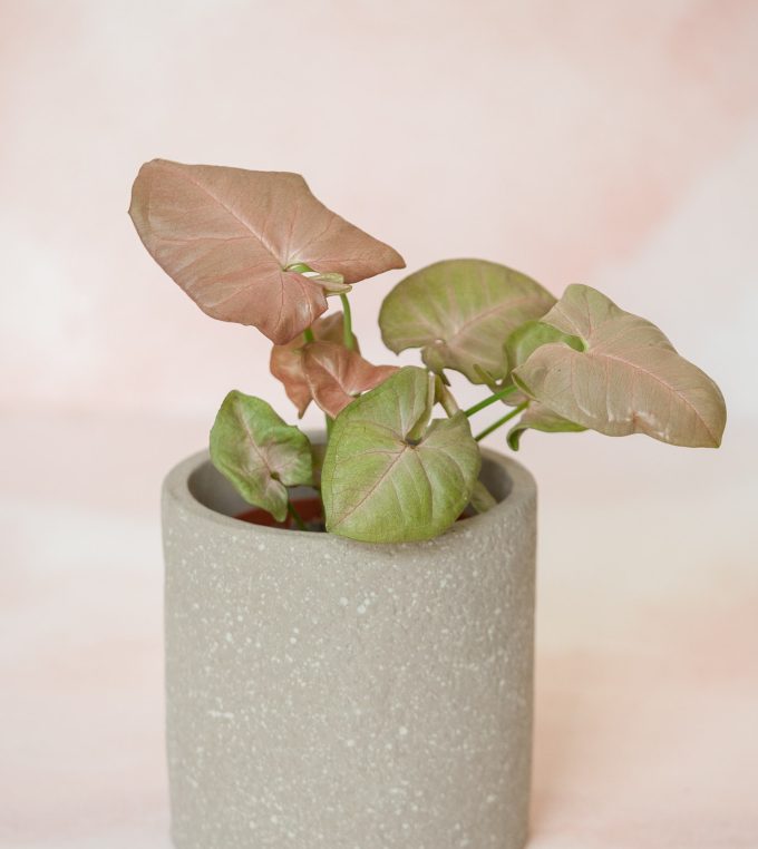 Osłonka Stone Light Grey