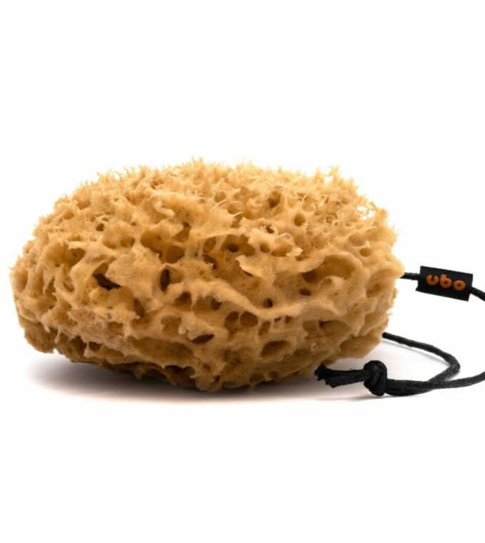 Gąbka Plaster Miodu