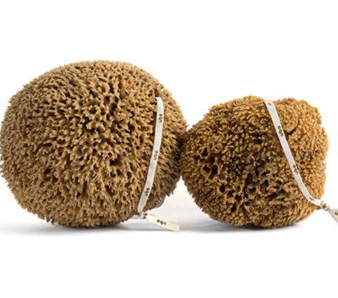 slou-ubo-gabka-trawa