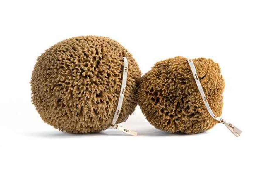 slou-ubo-gabka-trawa