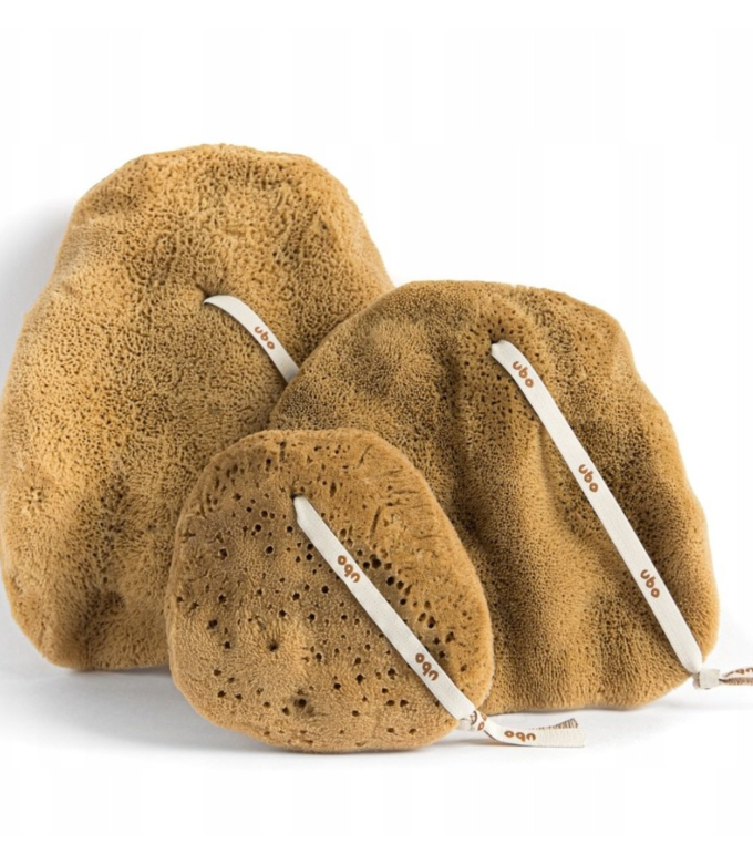 slou-ubo-gabka-ucho-slonia