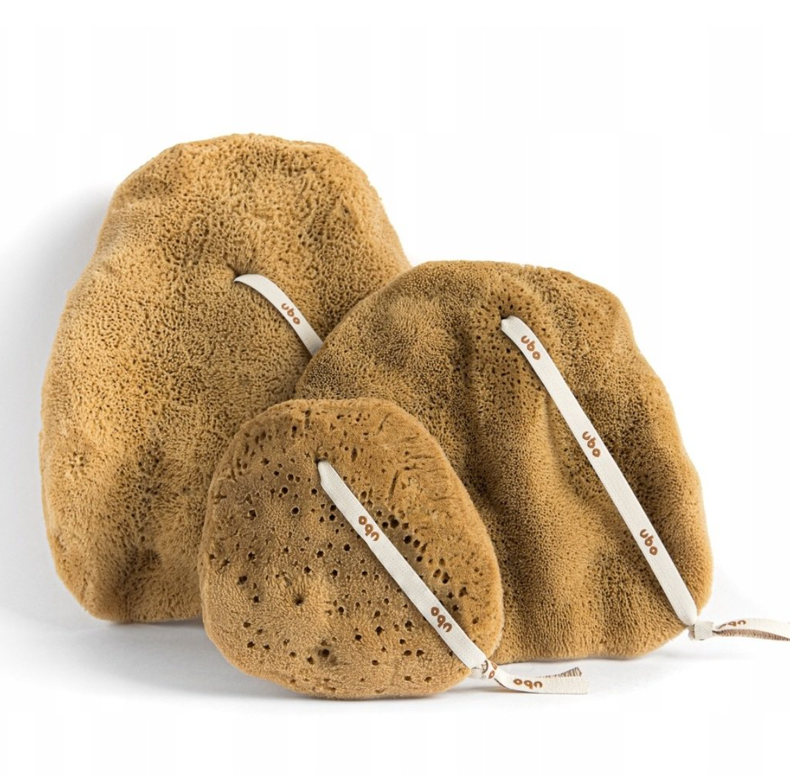 slou-ubo-gabka-ucho-slonia