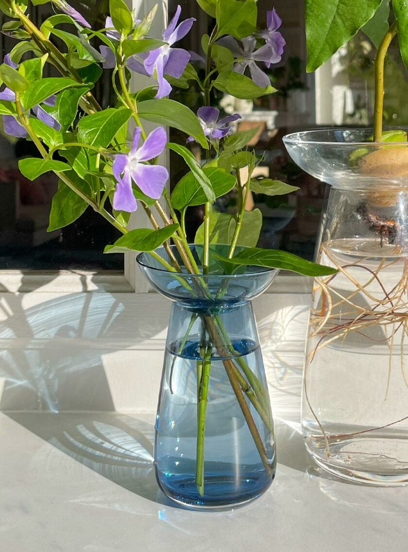 Wazon Aqua Culture Blue - Image 3
