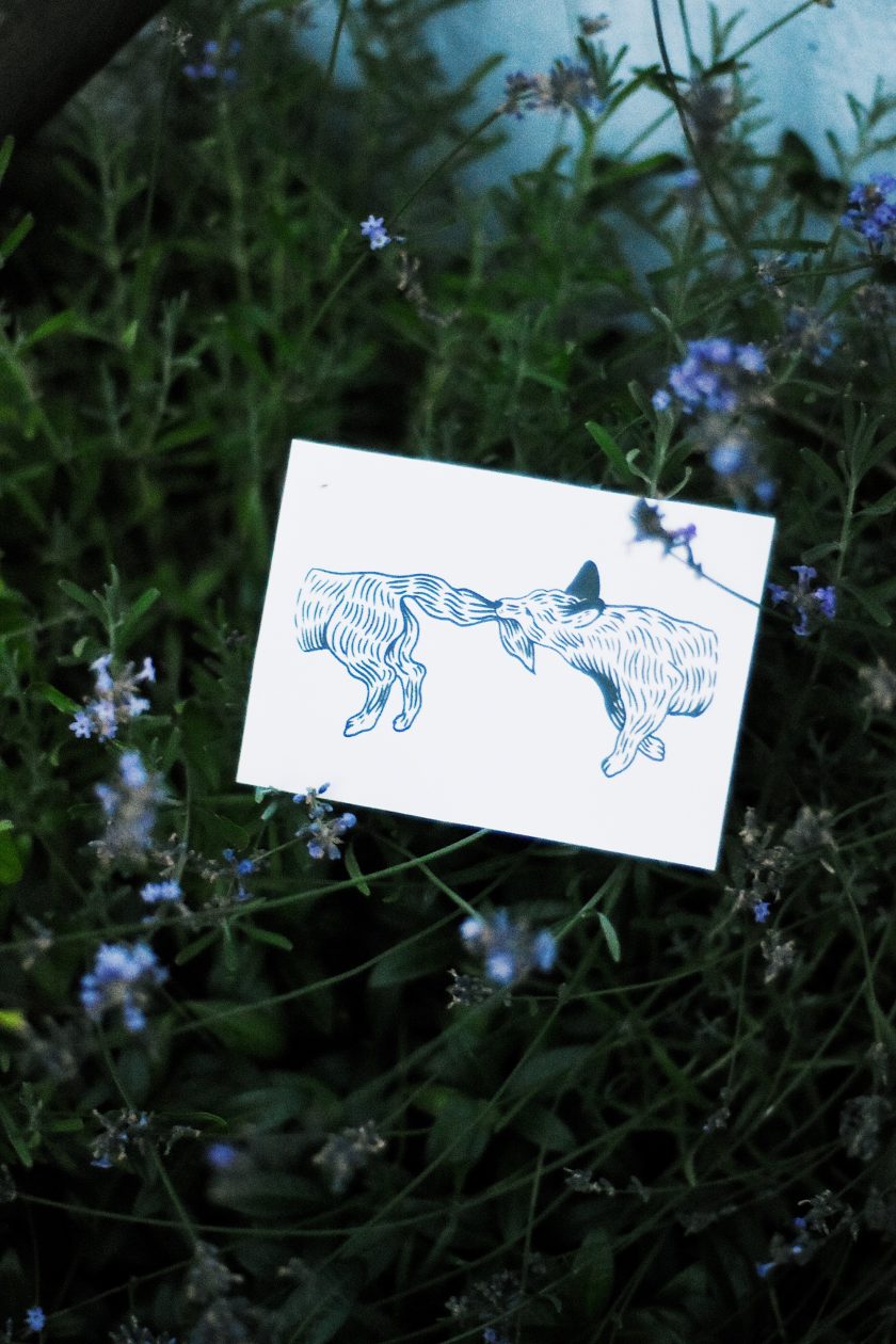 Grafika Liski - Image 3