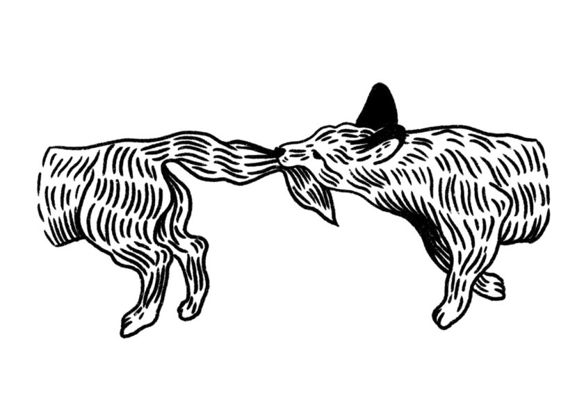 Grafika Liski