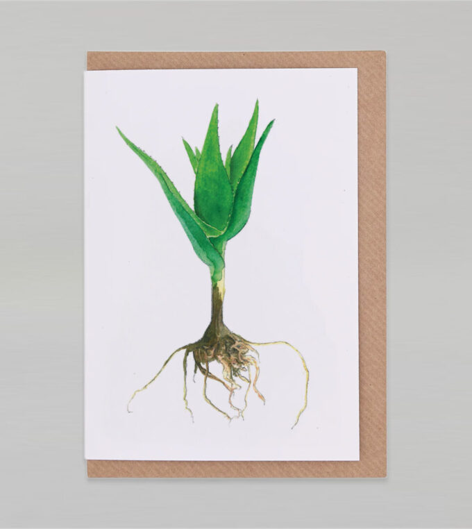 slou-botanopia-kartka-aloes-mniejszy