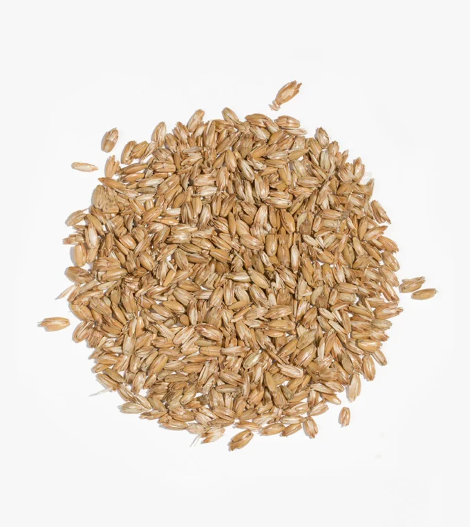 Poduszka z łuską orkiszu 40×40