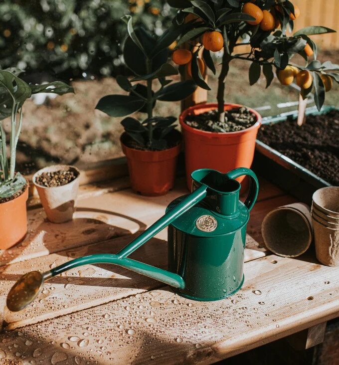 Zielona stalowa konewka 1 l