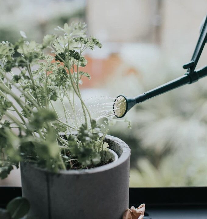 Zielona plastikowa konewka 0,7 l