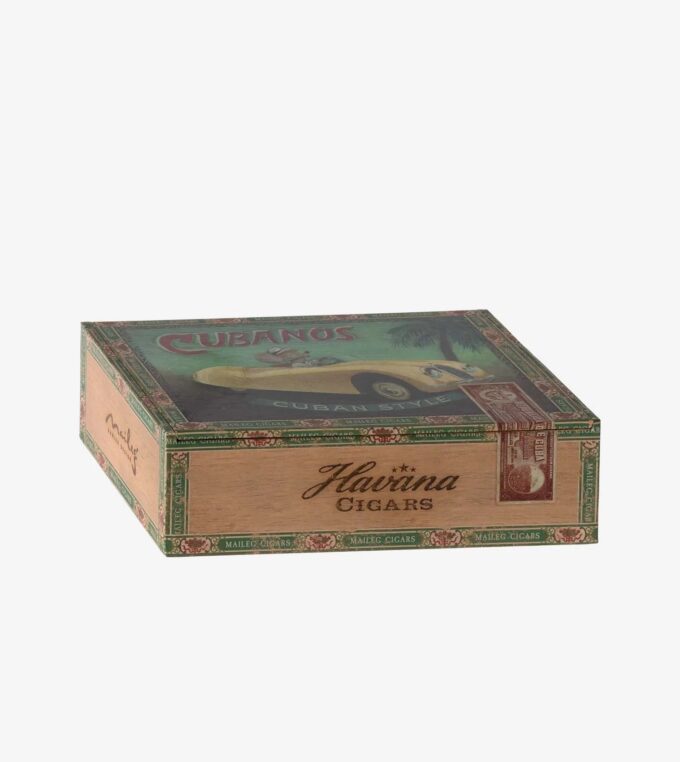 Myszki Babcia i Dziadek w pudełku po cygarach