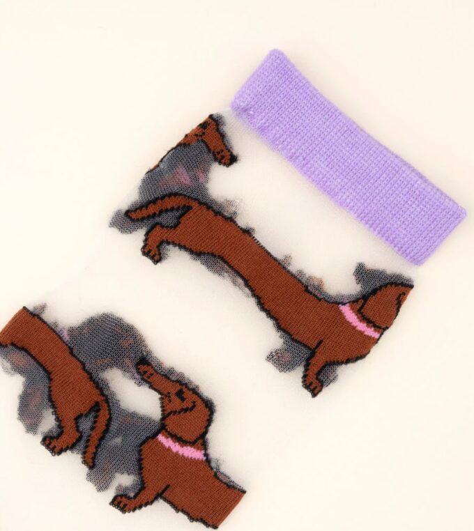 Skarpetki transparentne Jamnik