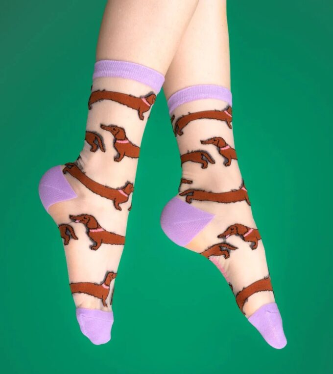 Skarpetki transparentne Jamnik