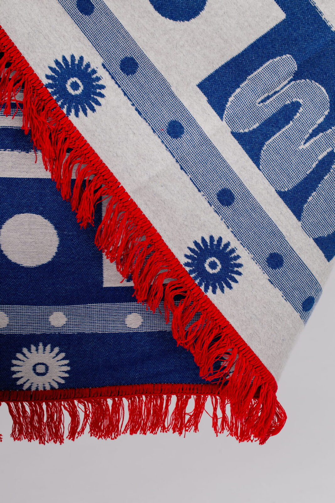 Pled Tygrys Polski Kobaltowski - obrazek 3