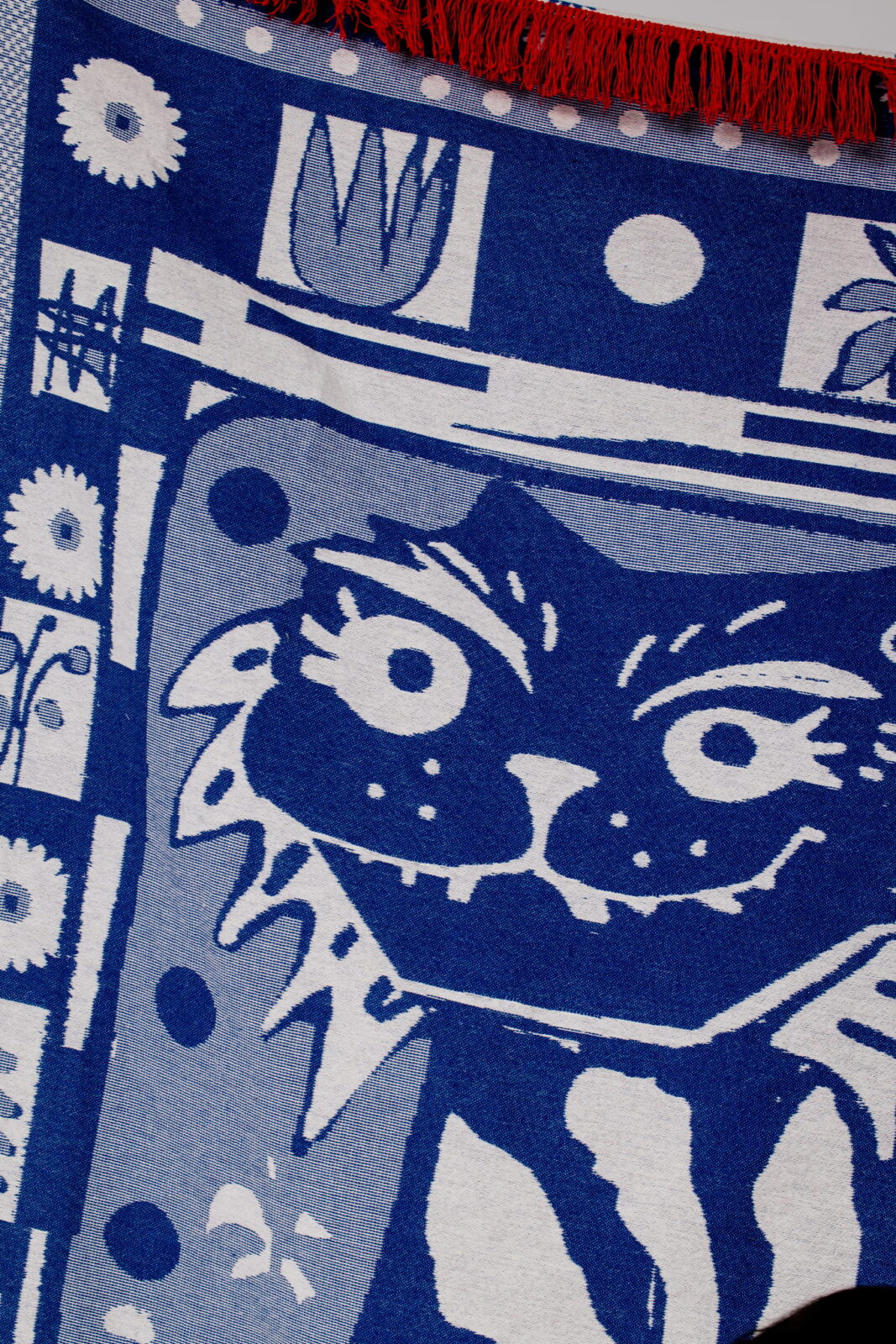 Pled Tygrys Polski Kobaltowski - obrazek 2