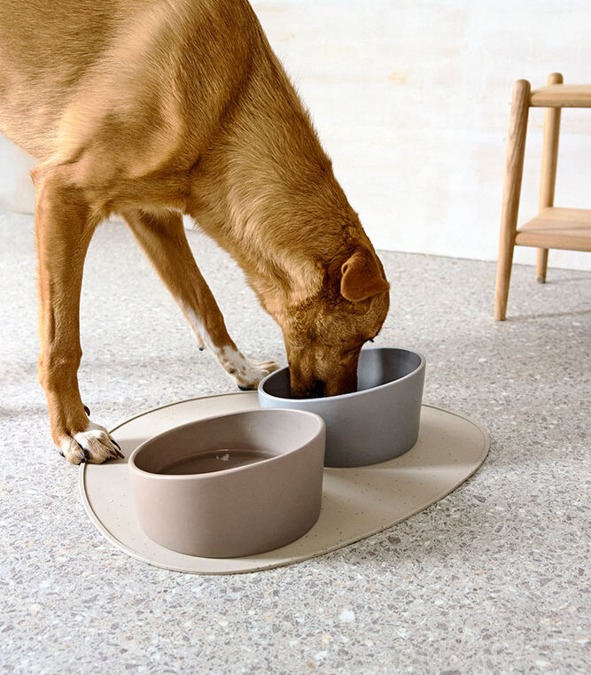 Miska porcelanowa dla psa Cali Grey