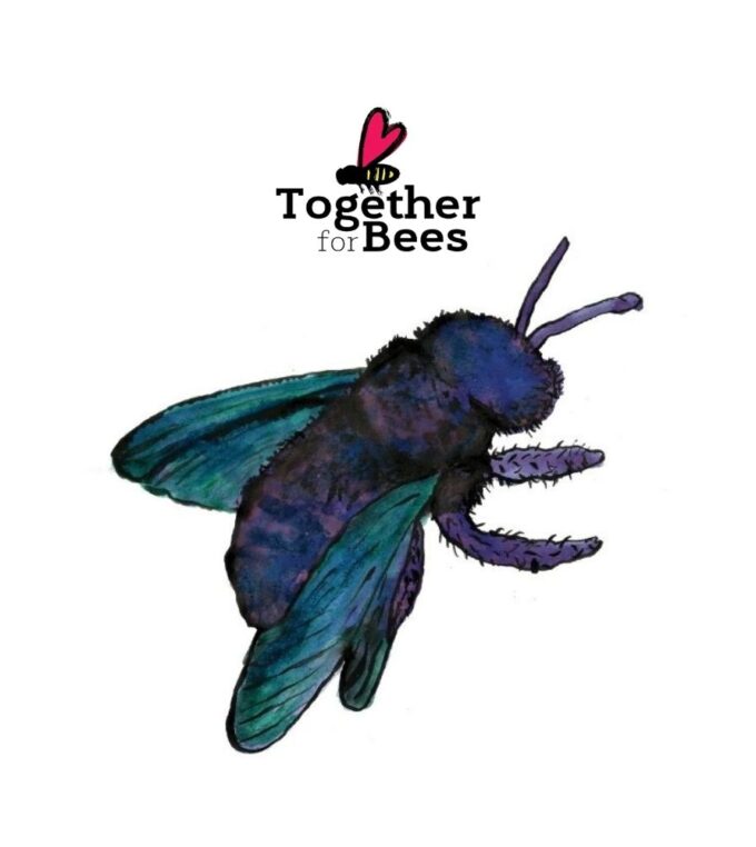 Pin Pszczoła — Martyna Czech Together for Bees