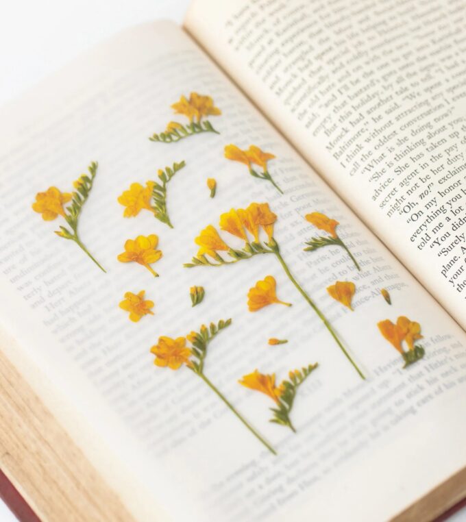 Naklejki Kwiaty Frezja