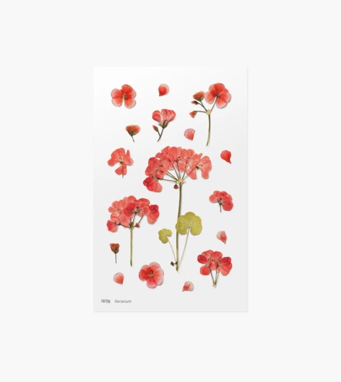 slou-appree-naklejki-geranium