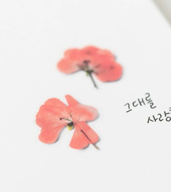 Naklejki Kwiaty Geranium