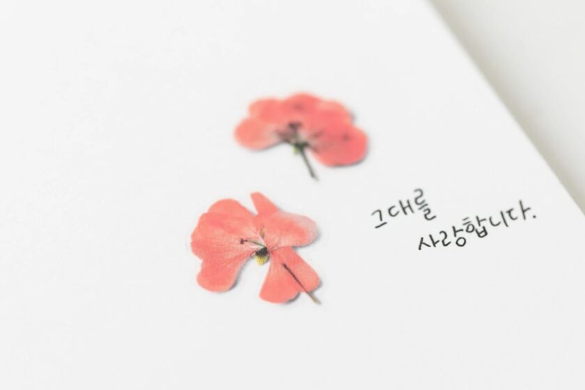 Naklejki Kwiaty Geranium - Image 3