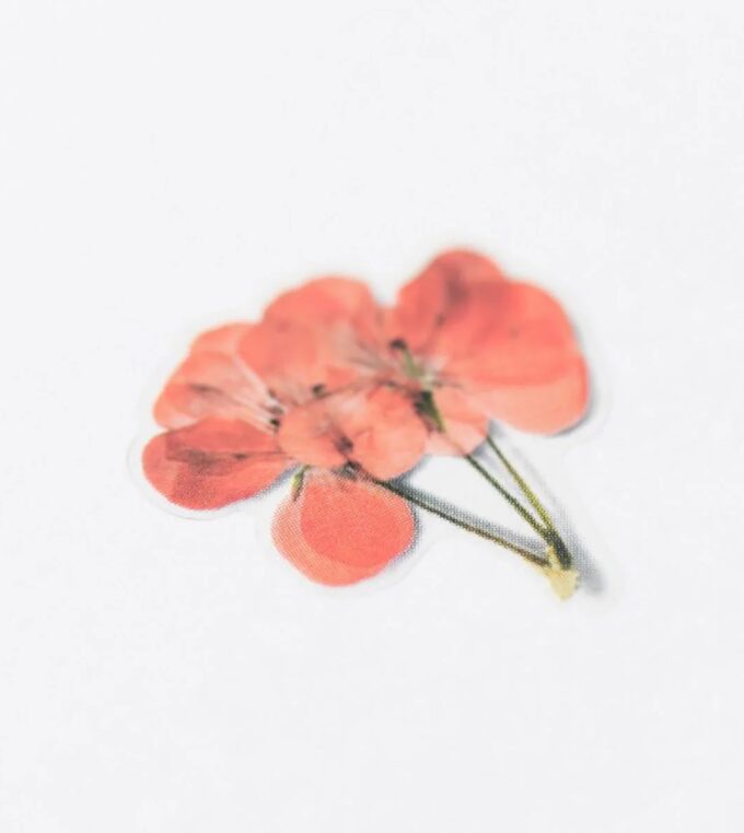 Naklejki Kwiaty Geranium