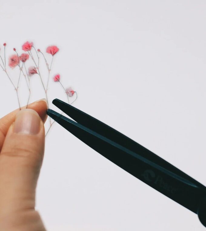 Naklejki Kwiaty Łyszczec